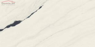 Керамогранит Atlas Concorde Forte dei Marmi Panda White Cer (60x120x0,9) арт. 610015000656 сатинированный